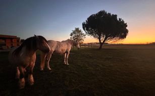 Le Spa des Indes - Bild 5