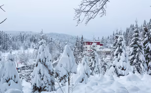 Waldhotel am Notschreipass - Bild 5