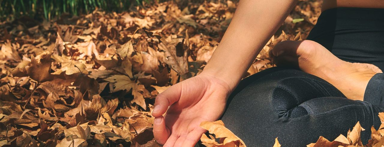 Meditation im Herbslaub