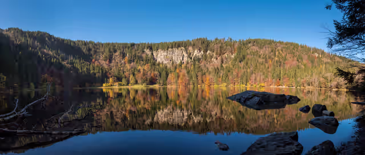 Der Feldsee im Südschwarzwald