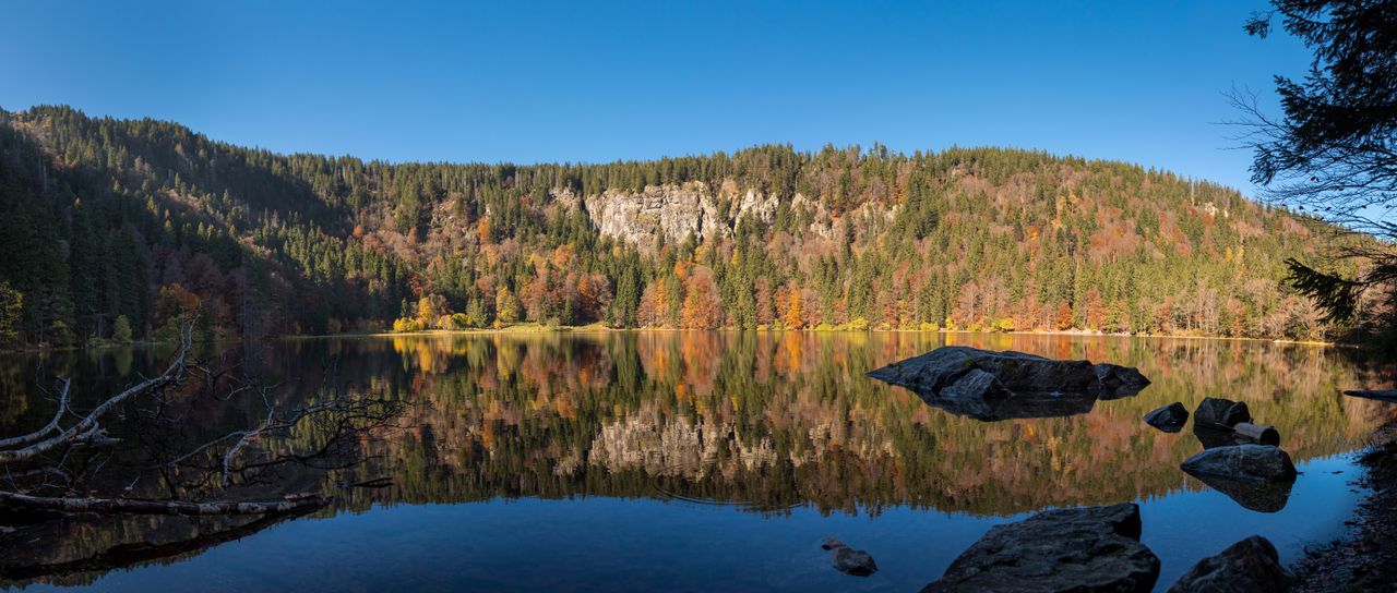 Der Feldsee im Südschwarzwald