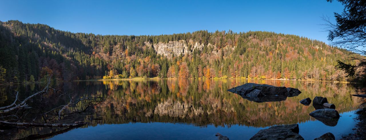 Der Feldsee im Südschwarzwald