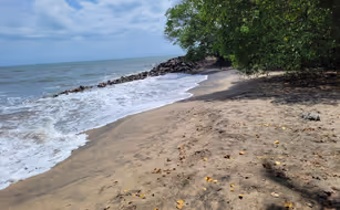 Anaamaya Ayurveda Resort - Bild 2