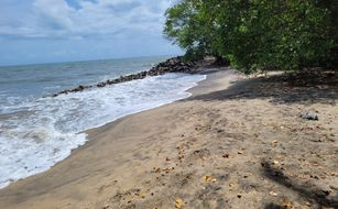 Anaamaya Ayurveda Resort - Bild 2