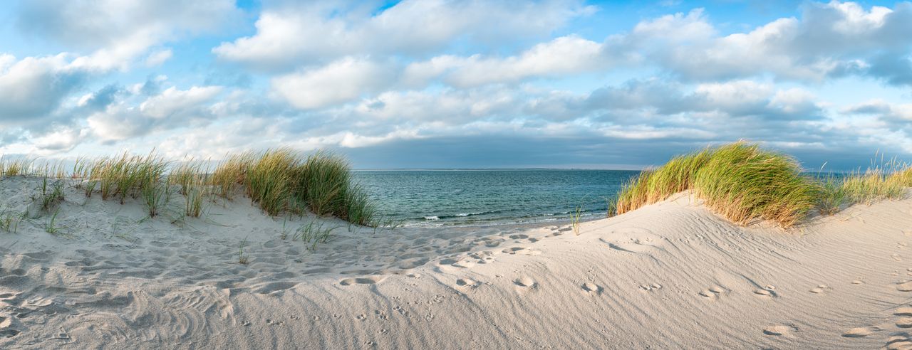 Blick über Dünen am deutschen Strand
