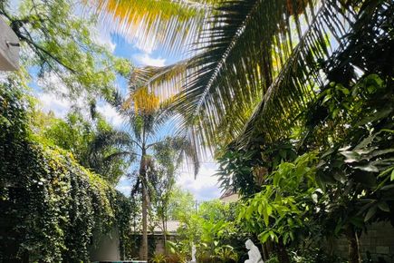 Rua Ceylon Wellness