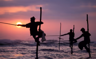 Sri Lanka Highlights - Bild 3