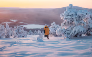 Arctic Nook - Image 4