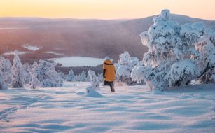 Arctic Nook - Immagine 4