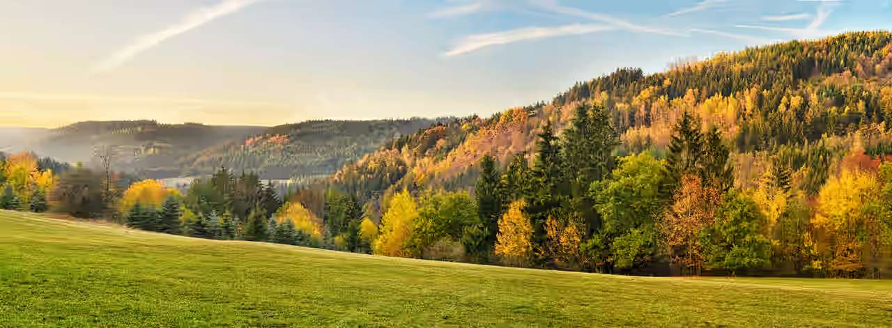 Herbstverfärbte Bäume im Frankenwald