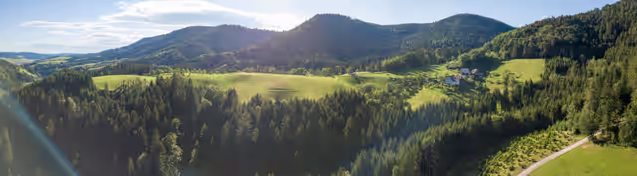 Eine Landschaft aus grünen Wiesen und Bergen