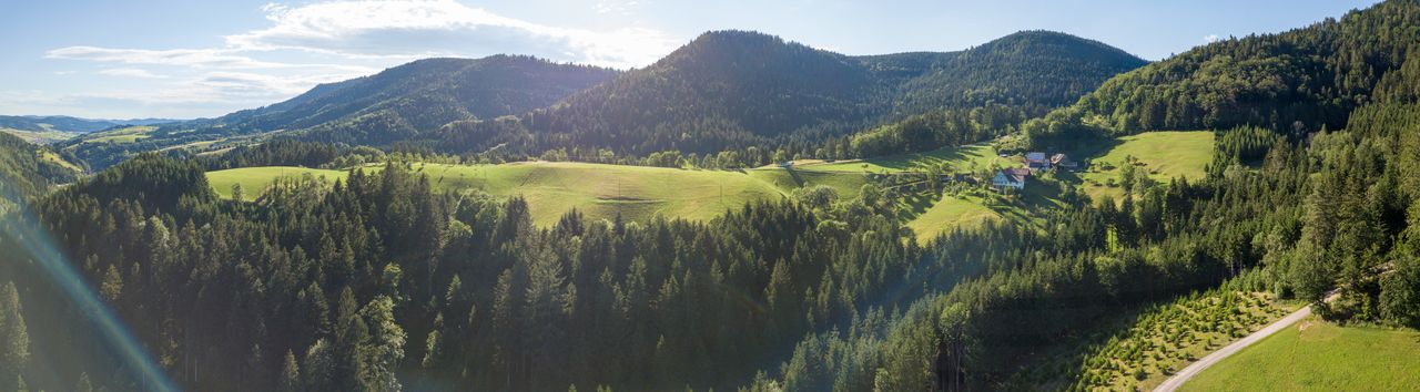 Eine Landschaft aus grünen Wiesen und Bergen