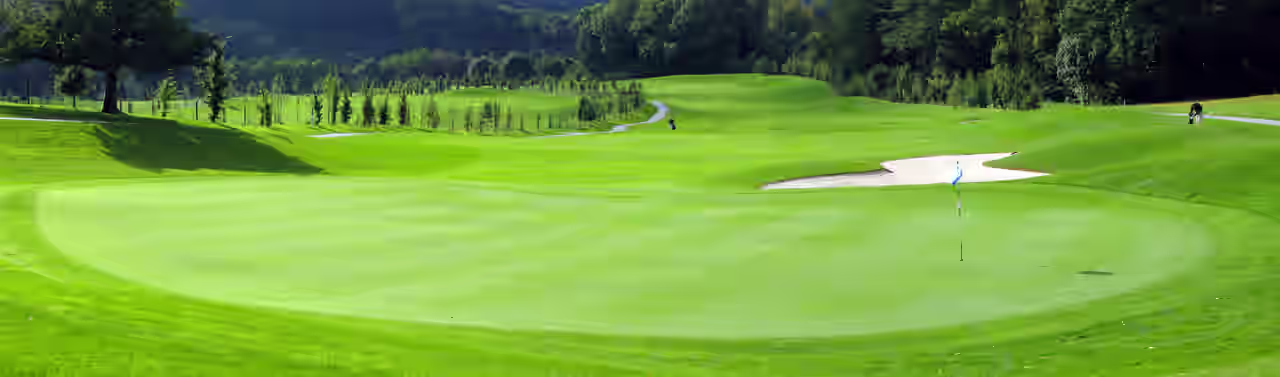 Golfplatz mit Wald im Hintergrund