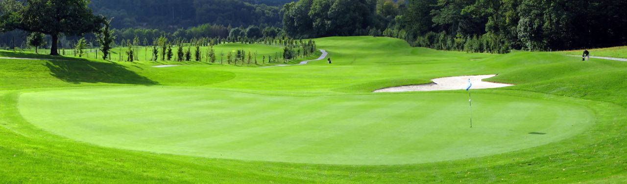 Golfplatz mit Wald im Hintergrund