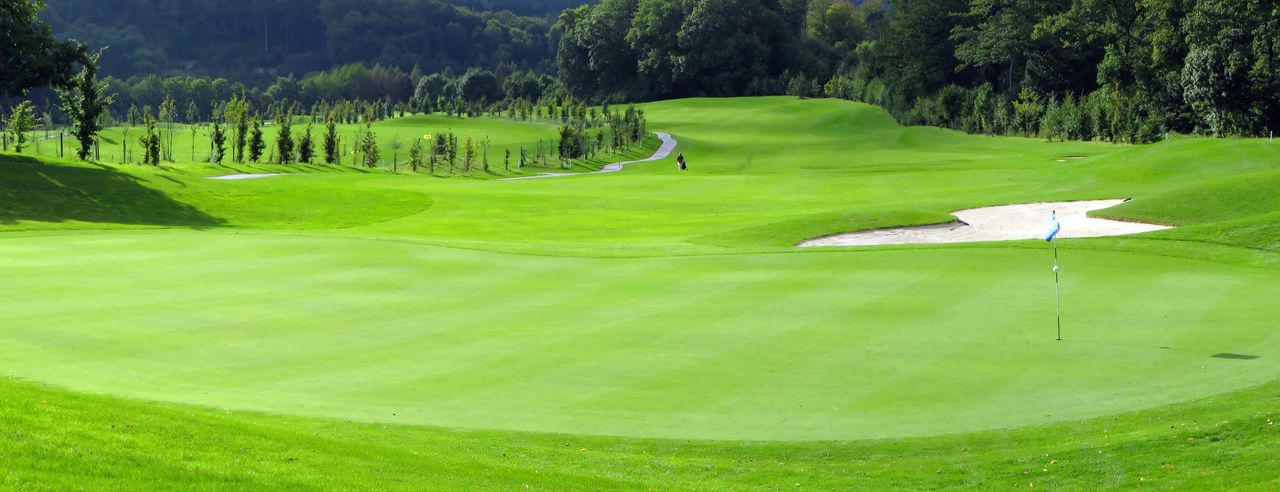 Golfplatz mit Wald im Hintergrund