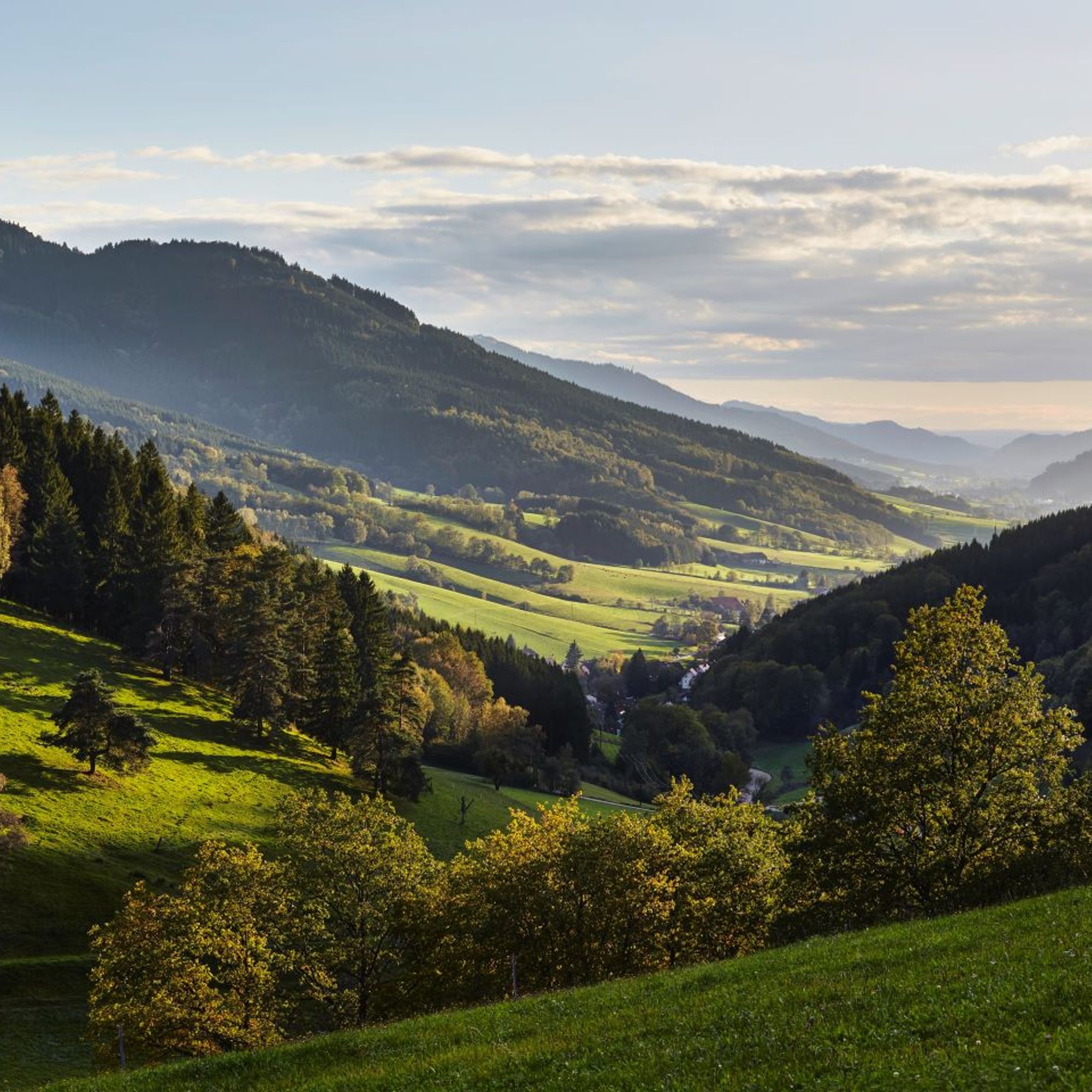 ElzLand Hotel Pfauen.