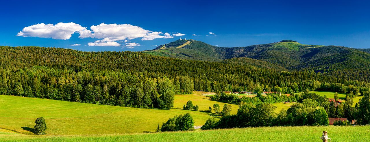 Skog och gröna ängar i Tjeckien