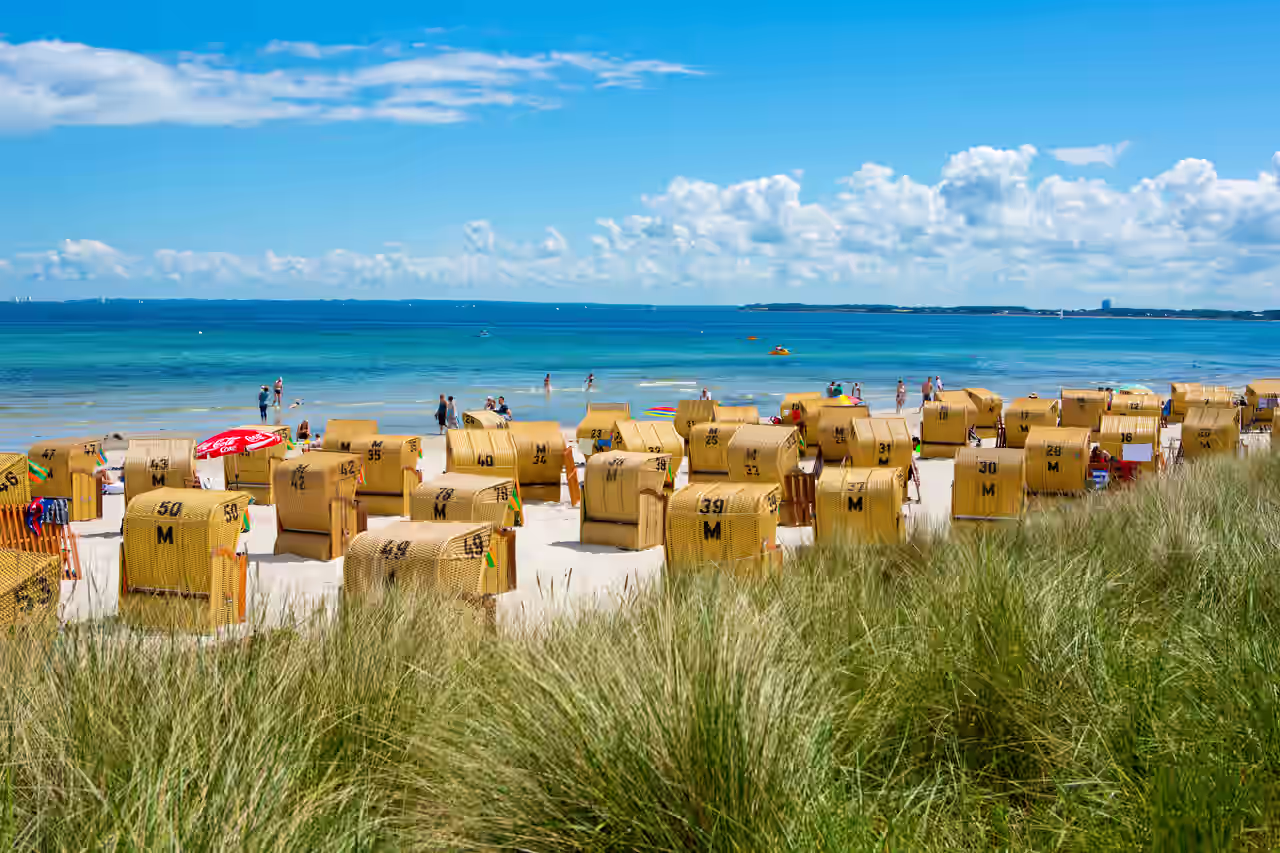 Gelbe Strandkörbe auf weißem Sandstrand zwischen Dünengras und der türkisblauen Ostsee