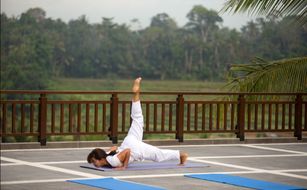 The Samaya  Ubud - Afbeelding 3