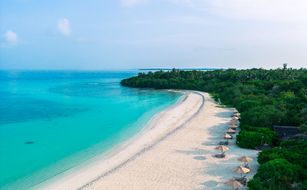 The Barefoot Eco Hotel - Zdjęcie 5