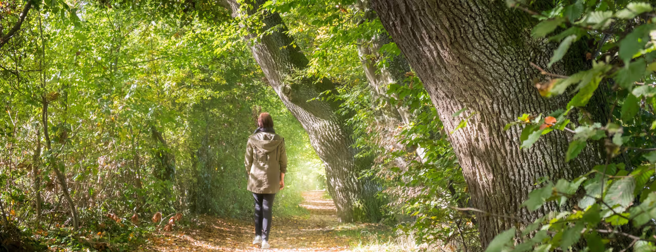 Frau macht einen sonnigen Herbstspaziergang im Wald