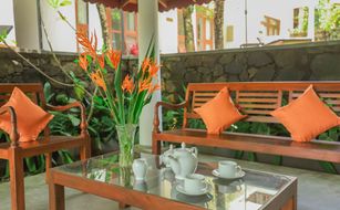 Terrace Garden Tropical Ayurveda Resort - Imagen 5