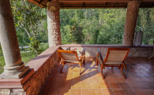 Duke's Forest Lodge - Image 3