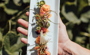 theiner's garten - das biorefugium - Bild 5