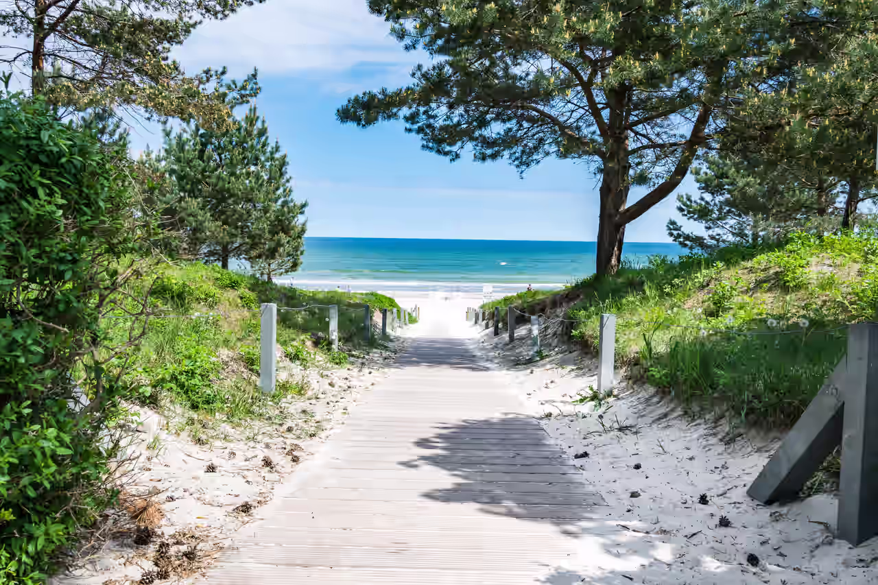 Holzweg zum Strand zwischen bewachsenen Dünen - Strandhotels auf Rügen