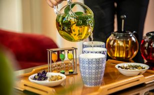 Palace Merano - Zdjęcie 4