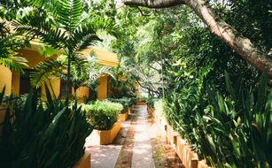 Barberyn Beach Ayurveda Resort - Bild 3