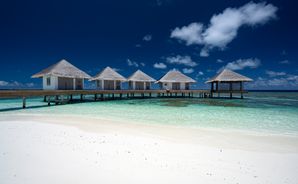 Cora Cora Maldives - Bild 3