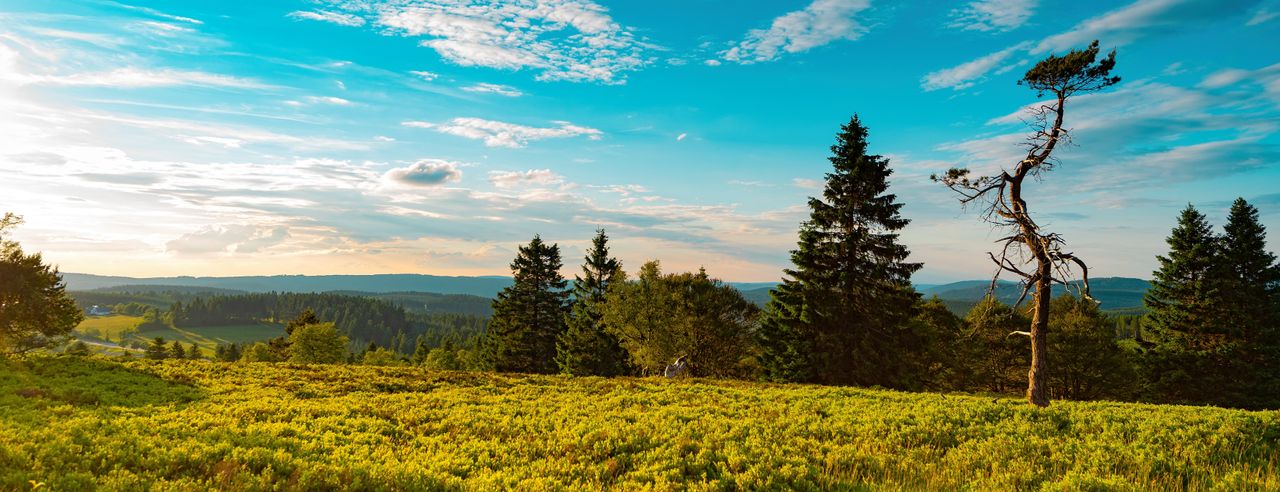 Die Schönheit des Rothaargebirges im Retreat Urlaub kennenlernen
