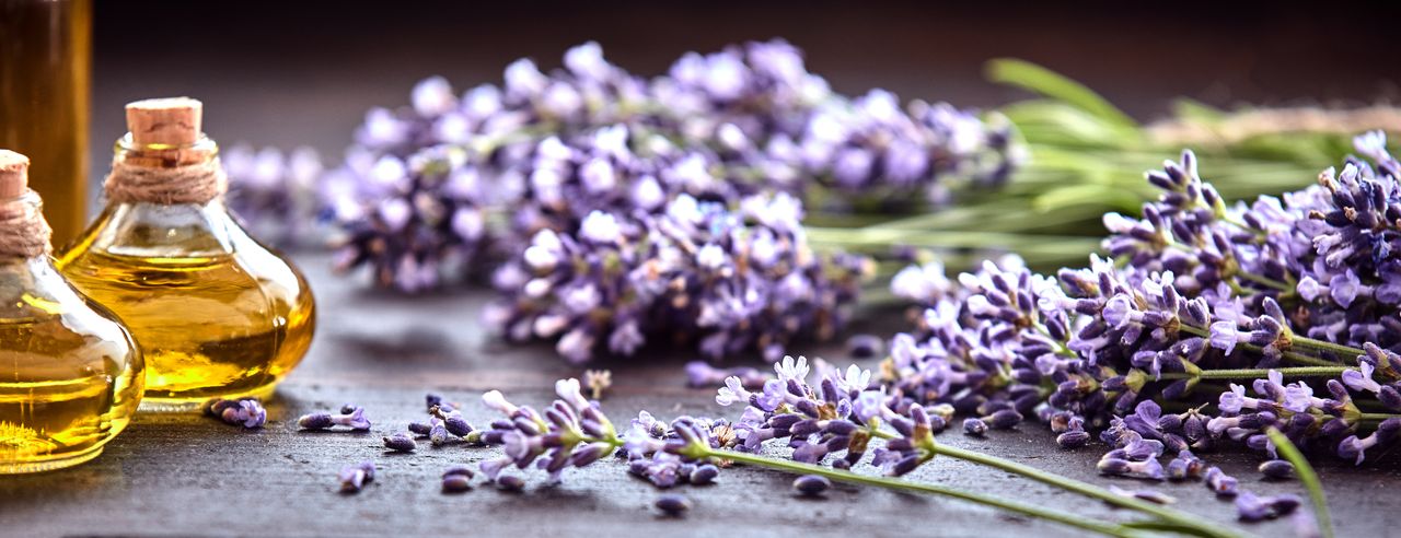 Frischer Lavendel und Fläschchen mit Öl