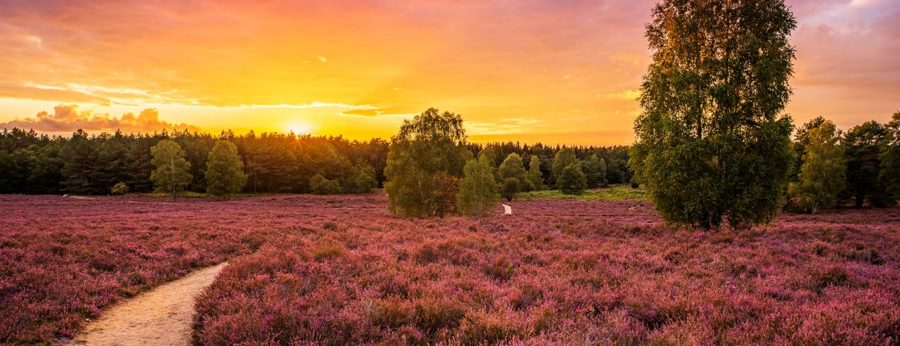 Romantische Hotels in der Lüneburger Heide