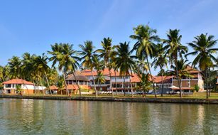 Kalari Rasayana - Bild 2