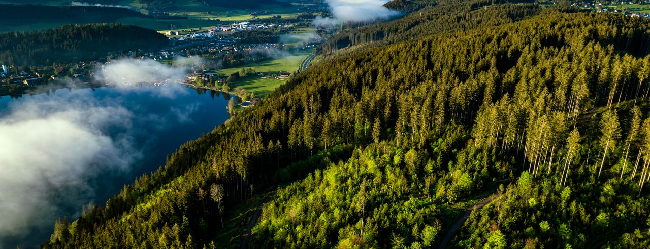 Der Titisee als Reiseziel für den Retreat Urlaub in Deutschland