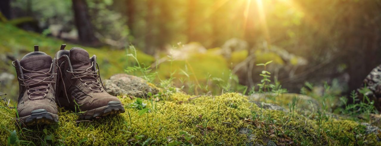 Wanderschuhe auf Waldboden