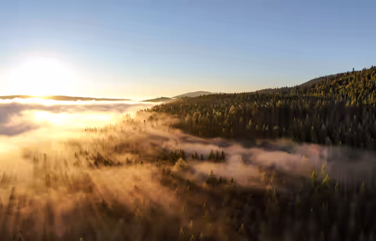 Blick über den Schwarzwald genießen beim Urlaub im ruhigen Hotel