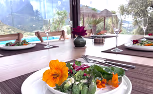 Harmony Home Wellness - Bild 2