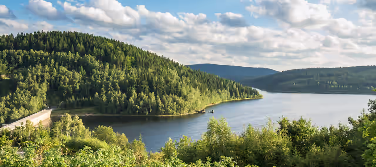 Ein See umgeben von Wäldern