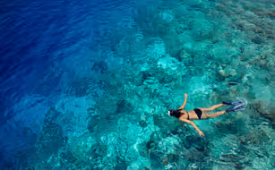 The Barefoot Eco Hotel - Bild 4