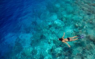 The Barefoot Eco Hotel - Zdjęcie 4