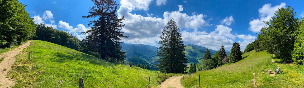 Wald- und Hügellandschaft im Schwarzwald