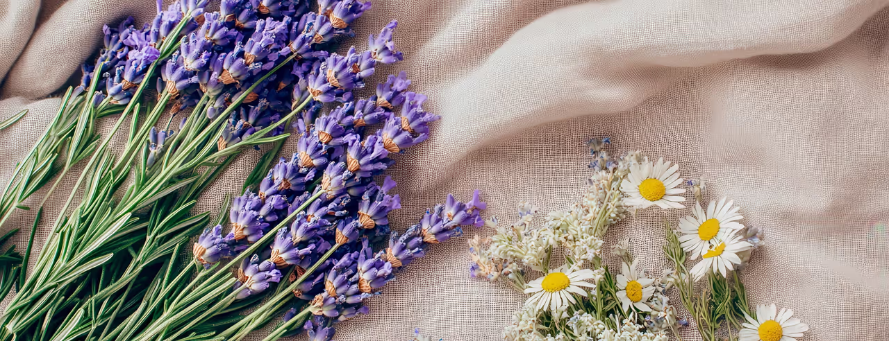 Lavendel und Kamille auf einem Tuch