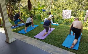 Jeevaka Villa and Ayurveda Retreat - Afbeelding 5