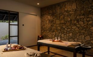 Ayugiri Ayurveda Wellness Resort - Image 3