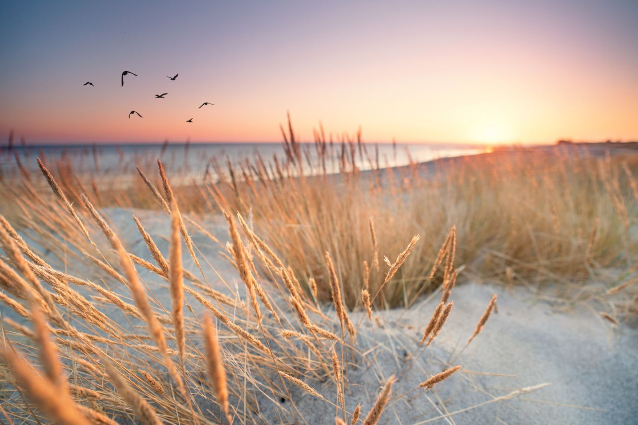 Dünenlandschaft in Norddeutschland beim Wellnessurlaub genießen