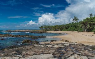 Sooriya Resort & Spa - Bild 5