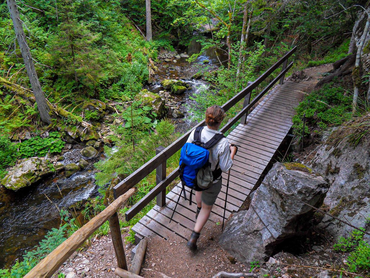 Wandern in einer Schlucht im Schwarzwald